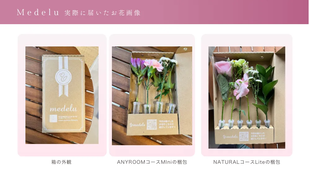Medelu梱包と箱の外観
