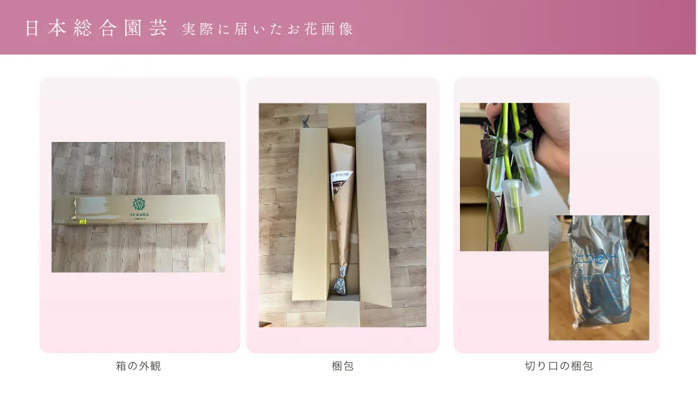 日本総合園芸の梱包