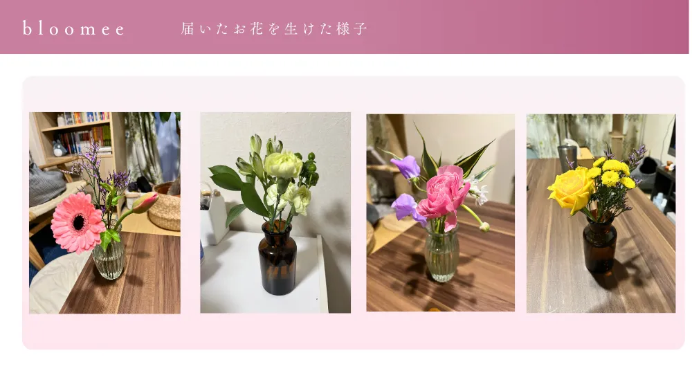 bloomeeで実際に届いたお花(4回分)